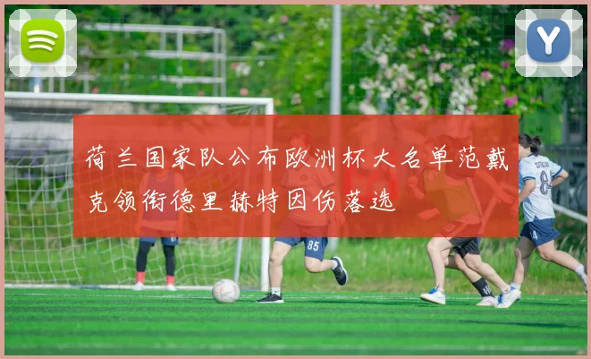 荷兰国家队公布欧洲杯大名单范戴克领衔德里赫特因伤落选