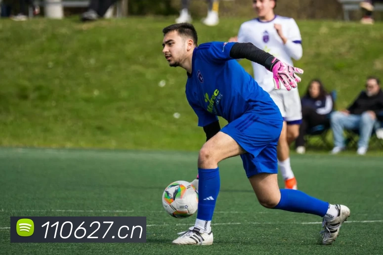 足球世界杯官网中文版平台生态图